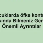 cocuklarda-ofke-kontrolu-hakkinda-bilmeniz-gereken-onemli-ayrintilar.webp
